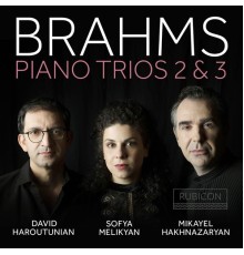 David Haroutunian, Mikayel Hakhnazaryan, Sofya Malikyan - Brahms: Piano Trios 2 & 3