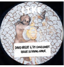David Hasert & Tim Engelhardt - Knight in Shining Armor