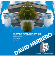 David Herrero - Maybe Someday (Original)