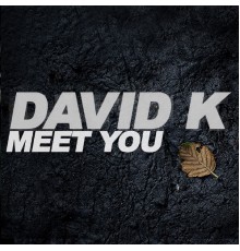 David K - Meet You [Remixes]