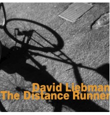 David Liebman - The Distance Runner