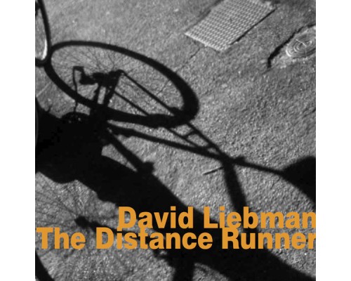 David Liebman - The Distance Runner