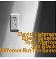 David Liebman & Ellery Eskelin - Different but the Same