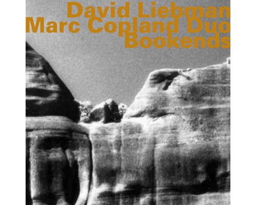 David Liebman & Marc Copland - Bookends