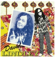 David Lindley - Mr. Dave