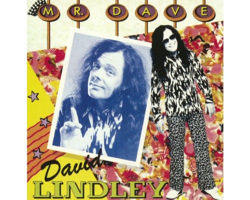 David Lindley - Mr. Dave