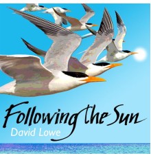 David Lowe - Following the Sun