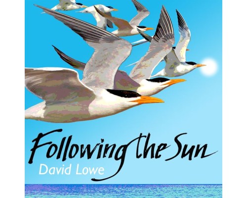 David Lowe - Following the Sun