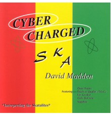 David Madden - Cybercharged Ska