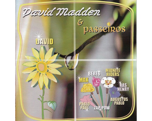 David Madden - David Madden & Passeiros