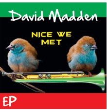 David Madden - Nice We Met