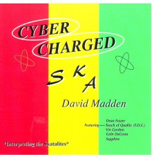 David Madden - Cyber Charged