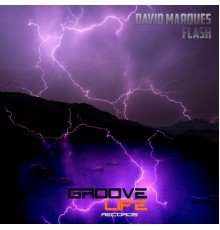 David Marques - Flash