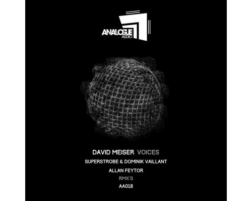 David Meiser - Voices