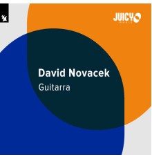 David Novacek - Guitarra