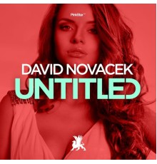 David Novacek - Untitled