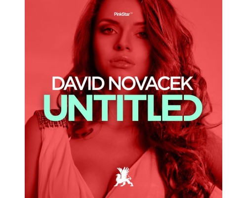 David Novacek - Untitled