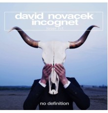 David Novacek & Incognet - Loser Hit