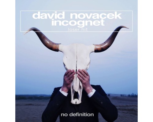 David Novacek & Incognet - Loser Hit