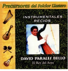 David Parales Bello - Instrumentales Recios