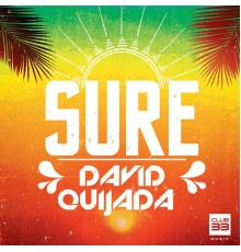 David Quijada - Sure