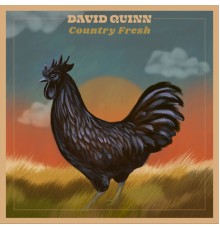 David Quinn - Country Fresh