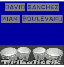 David Sanchez - Miami boulevard