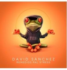 David Sanchez - Remedios Pal´ Stress