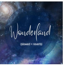 David Souza - Wonderland (slowed + reverb)