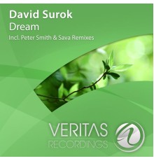 David Surok - Dream