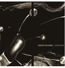 David Sylvian - Camphor