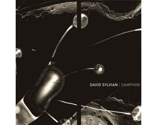 David Sylvian - Camphor