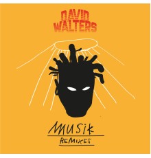 David Walters - Musik Remixes