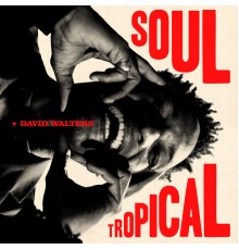 David Walters - Soul Tropical