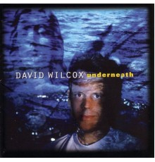 David Wilcox - Underneath