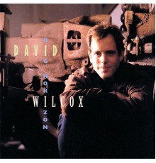 David Wilcox - Big Horizon