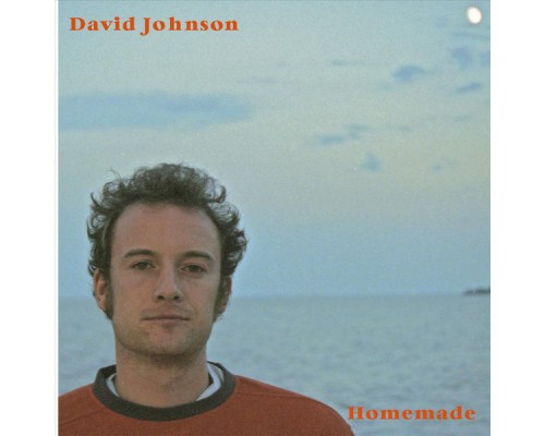 David johnson - Homemade