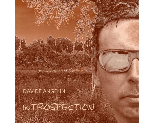 Davide Angelini - Introspection