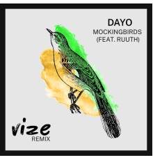 Dayo - Mockingbirds (VIZE Remix)