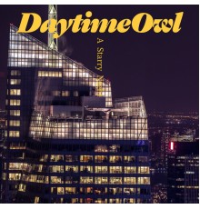 Daytime Owl - A Starry Night