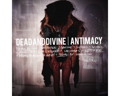 Dead And Divine - Antimacy