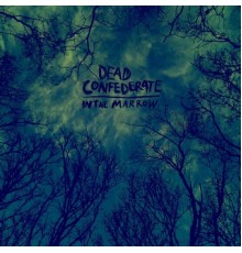 Dead Confederate - In The Marrow