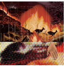 Deadbird & Burned Up Bled Dry - Deadbird / Burned Up Bled Dry - Split