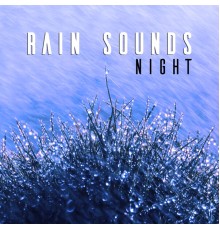 Deep Sleep - Rain Sounds: Night