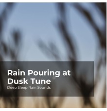 Deep Sleep Rain Sounds, Rain Meditations, Rain Sounds Collection - Rain Pouring at Dusk Tune