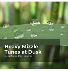 Deep Sleep Rain Sounds, Rain Meditations, Rain Sounds Collection - Heavy Mizzle Tunes at Dusk