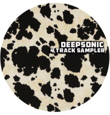 Deepsonic - 4 Track Sampler