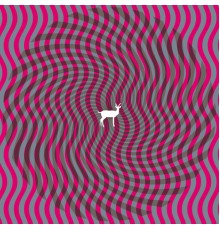 Deerhunter - Cryptograms