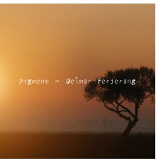 Delmar Ferjerang - pigment