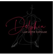 Delphia Cello Quartet - Live at the Icehouse